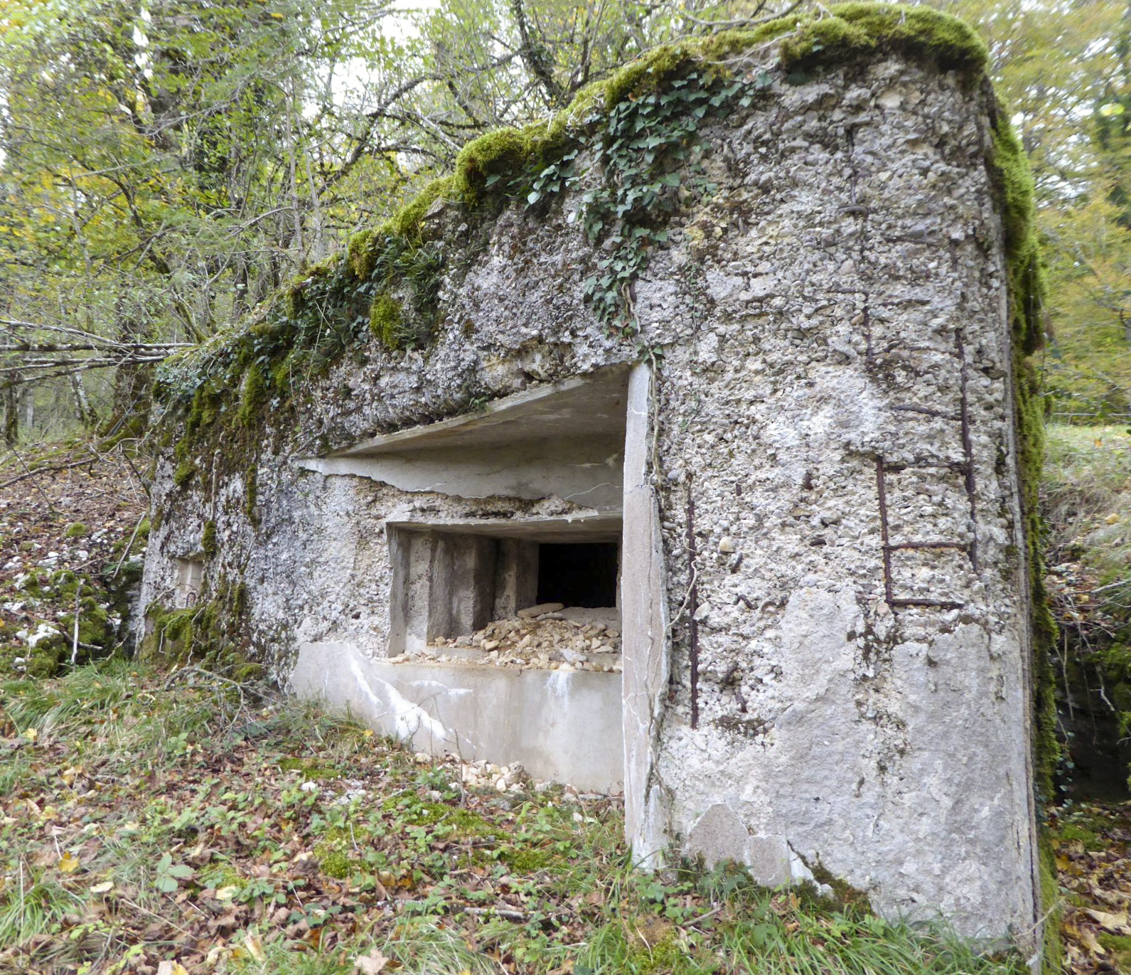 Ligne Maginot - CHARMAUVILLERS - (Blockhaus pour canon) -  - François VILLARS