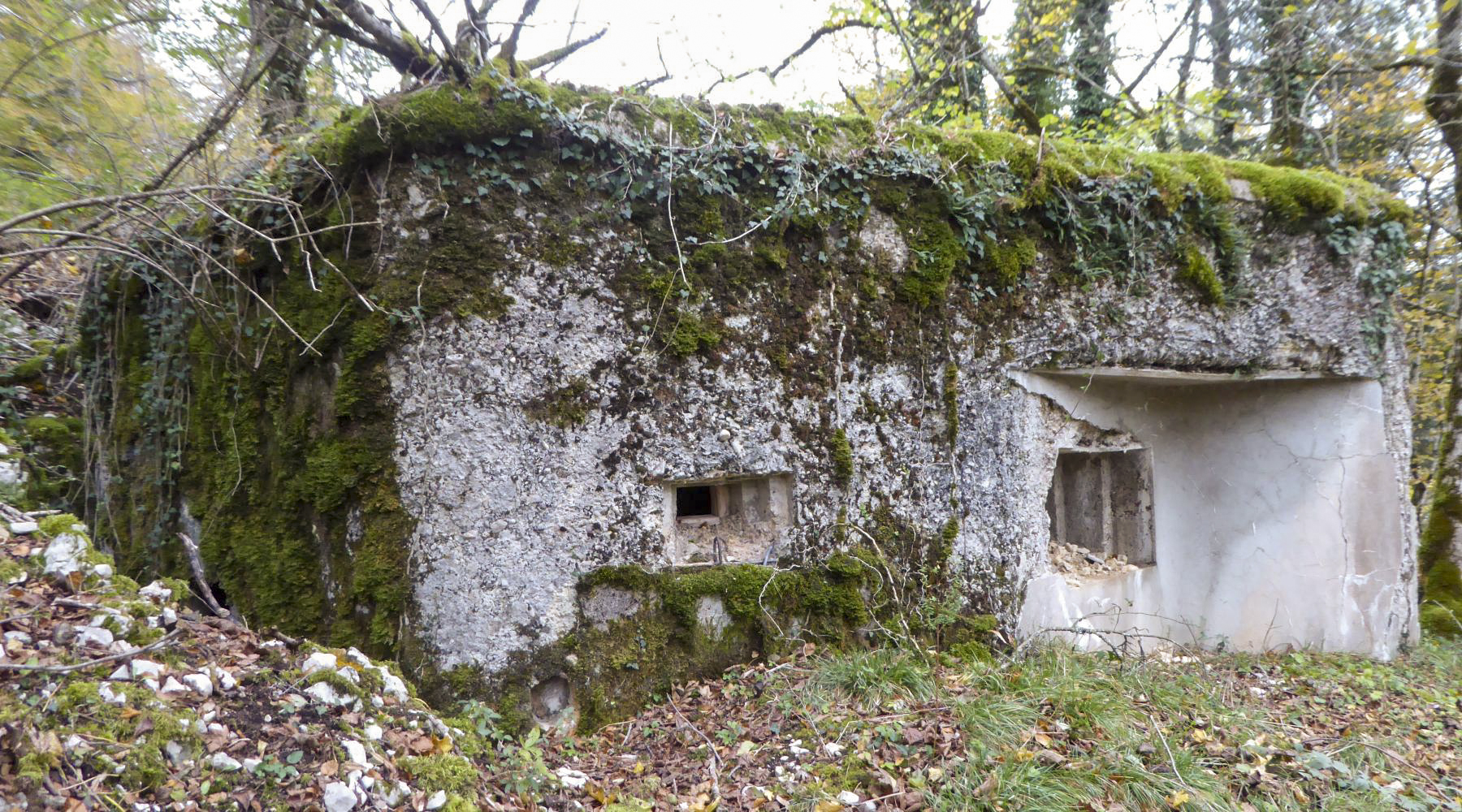 Ligne Maginot - CHARMAUVILLERS - (Blockhaus pour canon) -  - François VILLARS