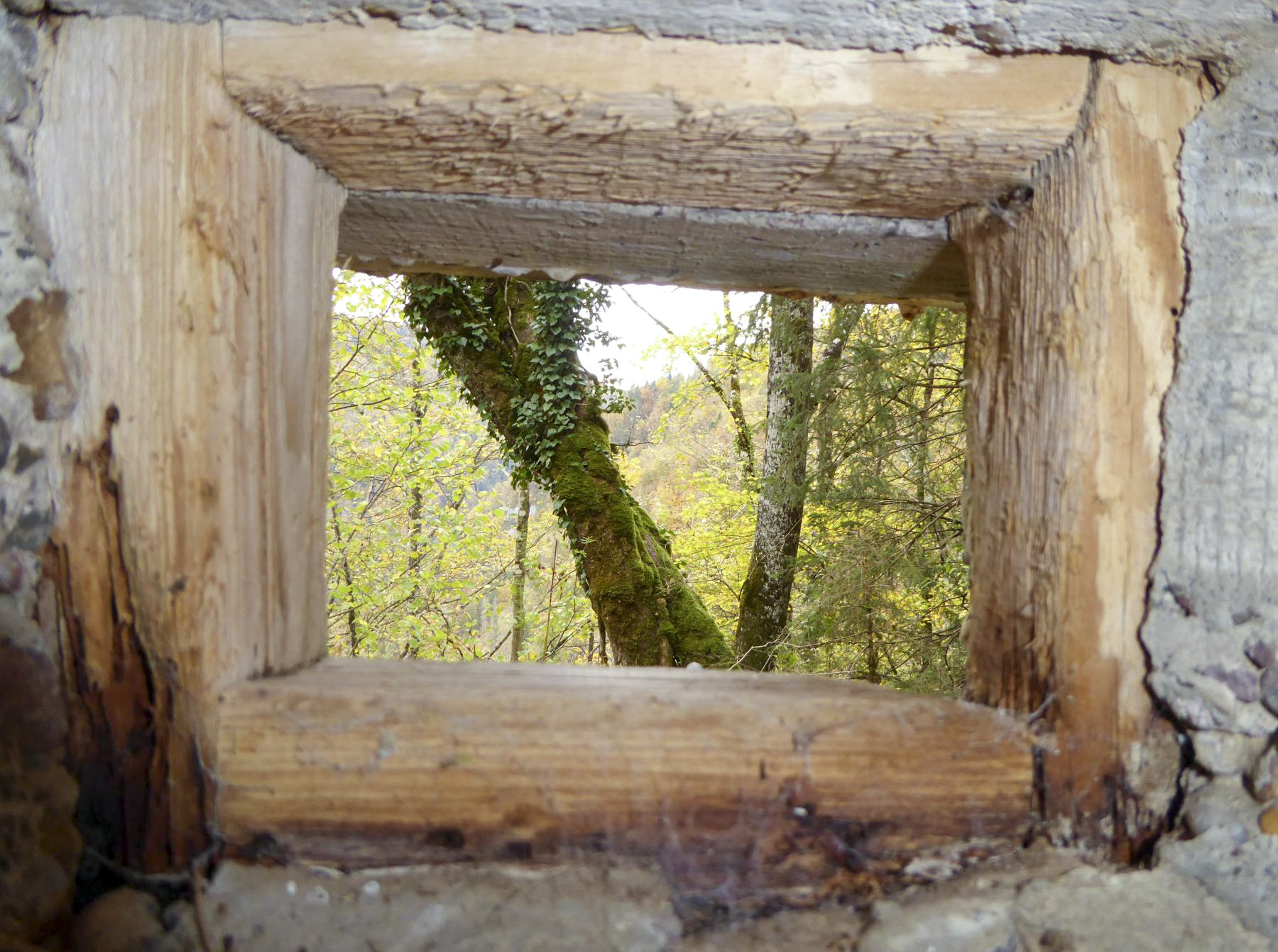 Ligne Maginot - CHARMAUVILLERS - (Blockhaus pour canon) - Créneau pour arme automatique - François VILLARS