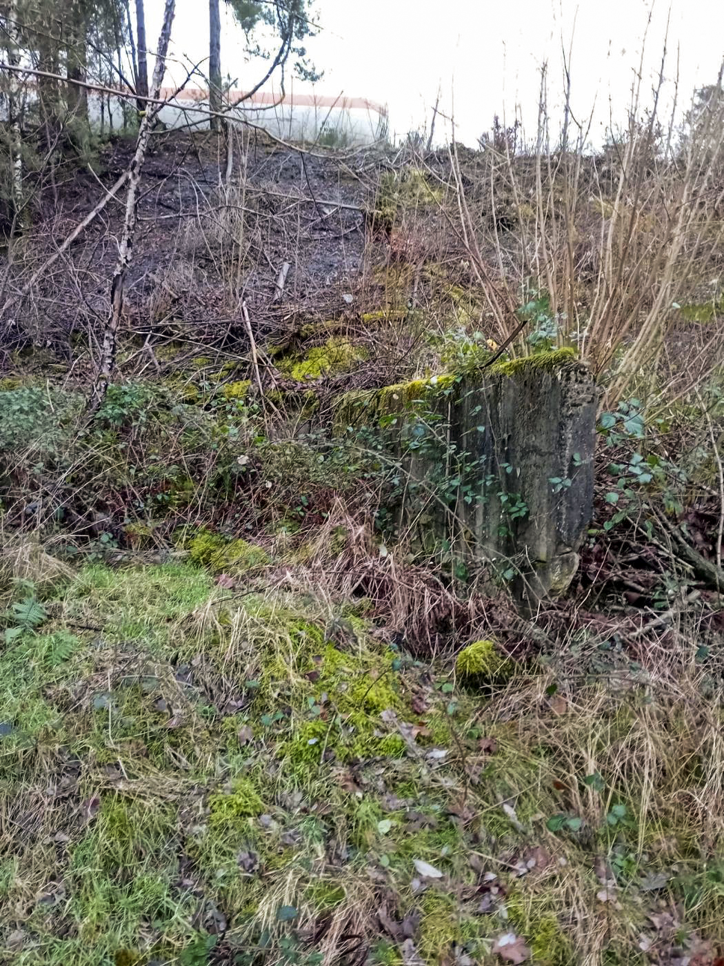 Ligne Maginot - FERME GRUENHOF - (Poste GRM - Maison Forte) -  - david Matloka