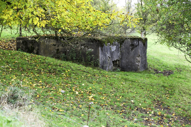 Ligne Maginot - Blockhaus d'Inglange Sud -  - www.arnaultjl-photo.com