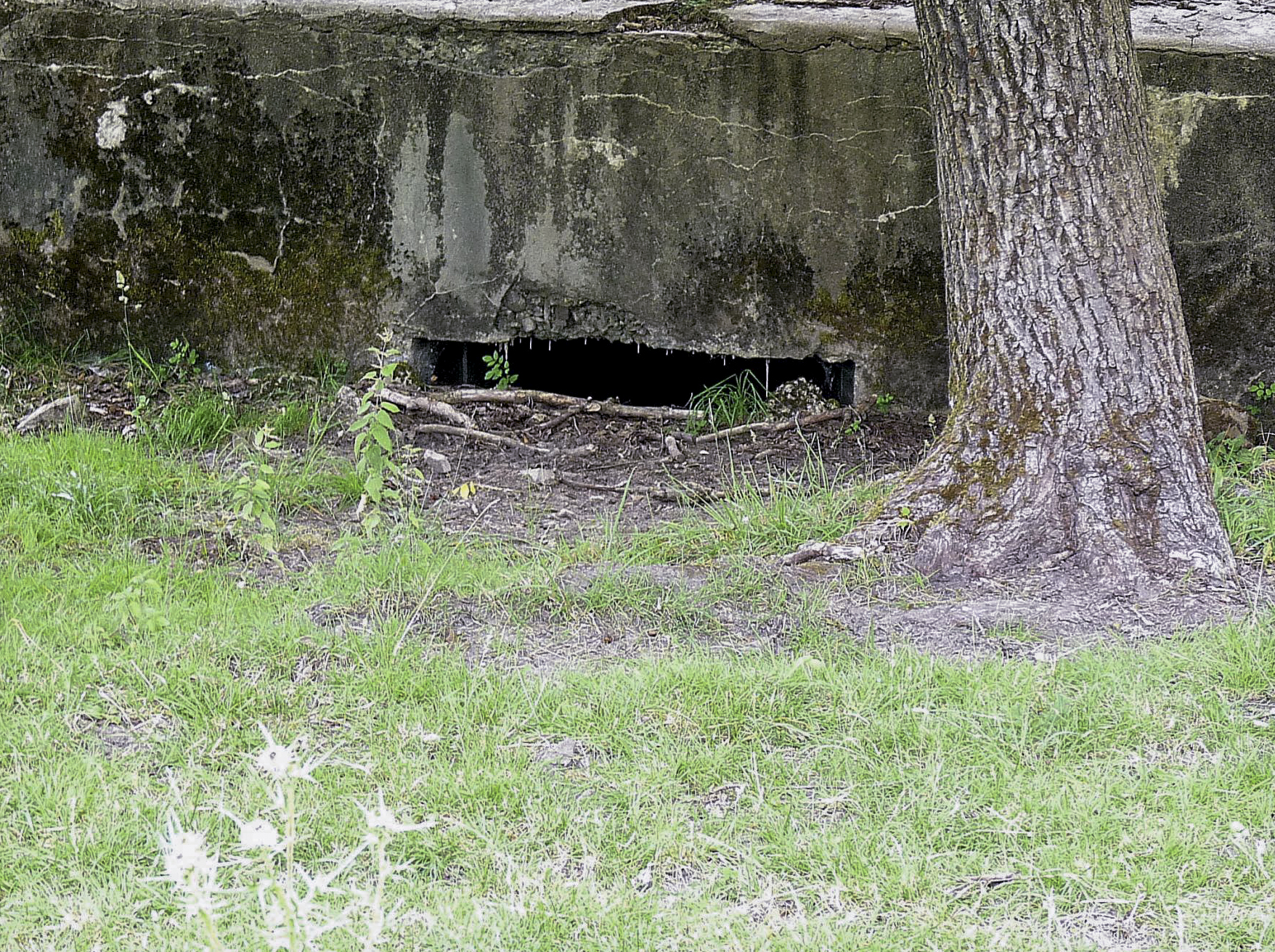 Ligne Maginot - CB614 - INGLANGE SUD - (Blockhaus pour canon) -  - Sylvie-Laure LAMBERT