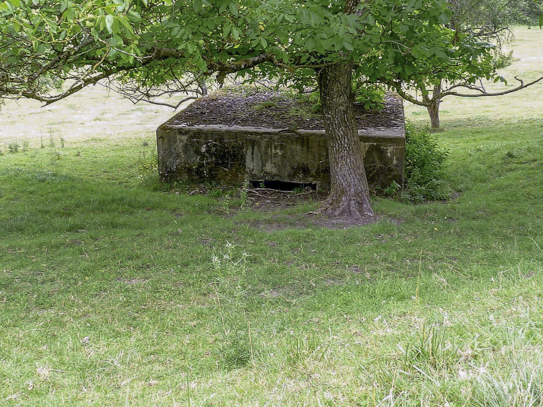 Ligne Maginot - CB614 - INGLANGE SUD - (Blockhaus pour canon) -  - Sylvie-Laure LAMBERT
