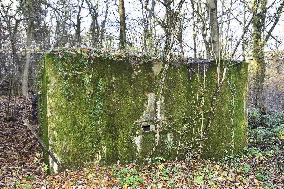 Ligne Maginot - CB173 - YELLE 02 - (Blockhaus pour canon) - Façade avant avec créneau de tir - D.Froehly