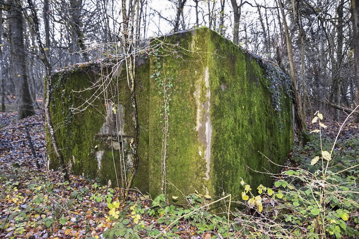 Ligne Maginot - CB173 - YELLE 02 - (Blockhaus pour canon) - Façade avant avec créneau de tir - D.Froehly