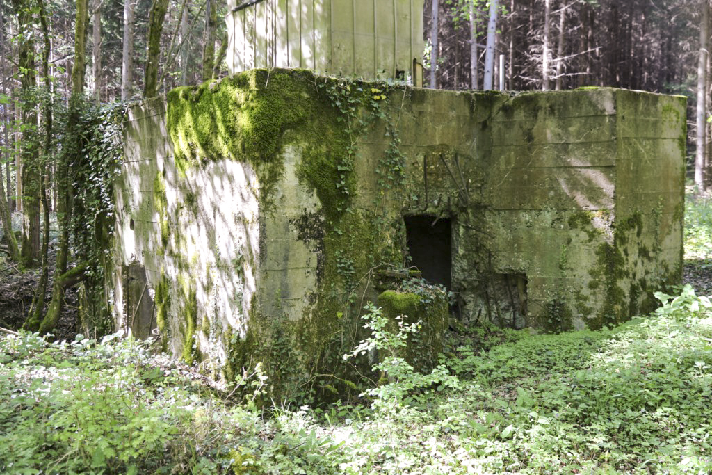Ligne Maginot - CB423 - HART MASSELTERWIESE - (Blockhaus pour arme infanterie) -  - Alain Perouffe