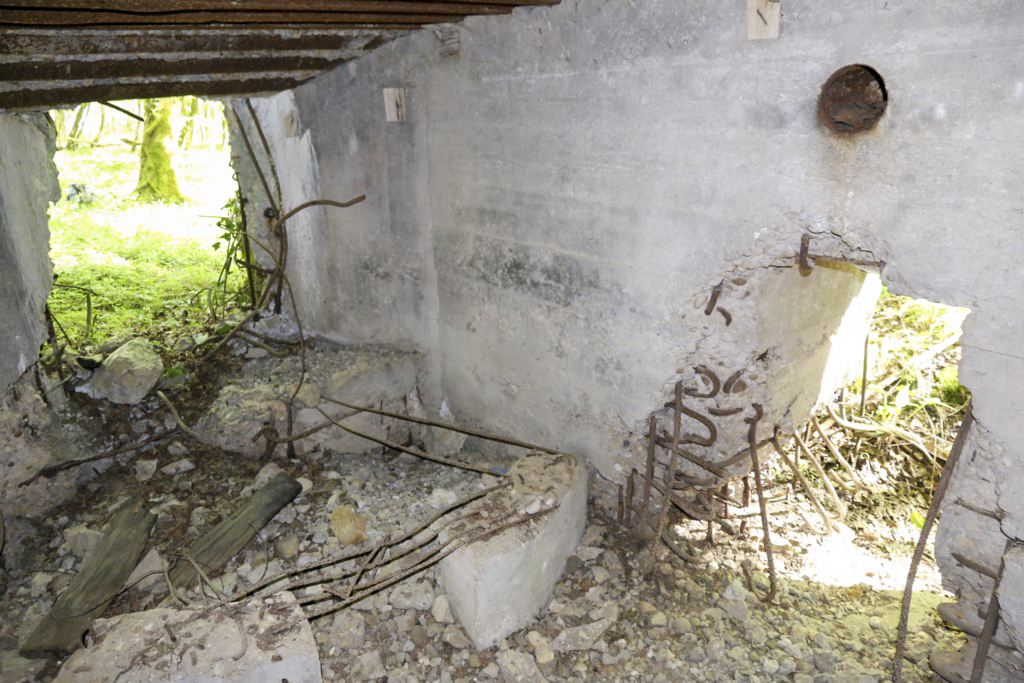 Ligne Maginot - CB423 - HART MASSELTERWIESE - (Blockhaus pour arme infanterie) -  - Alain Perouffe