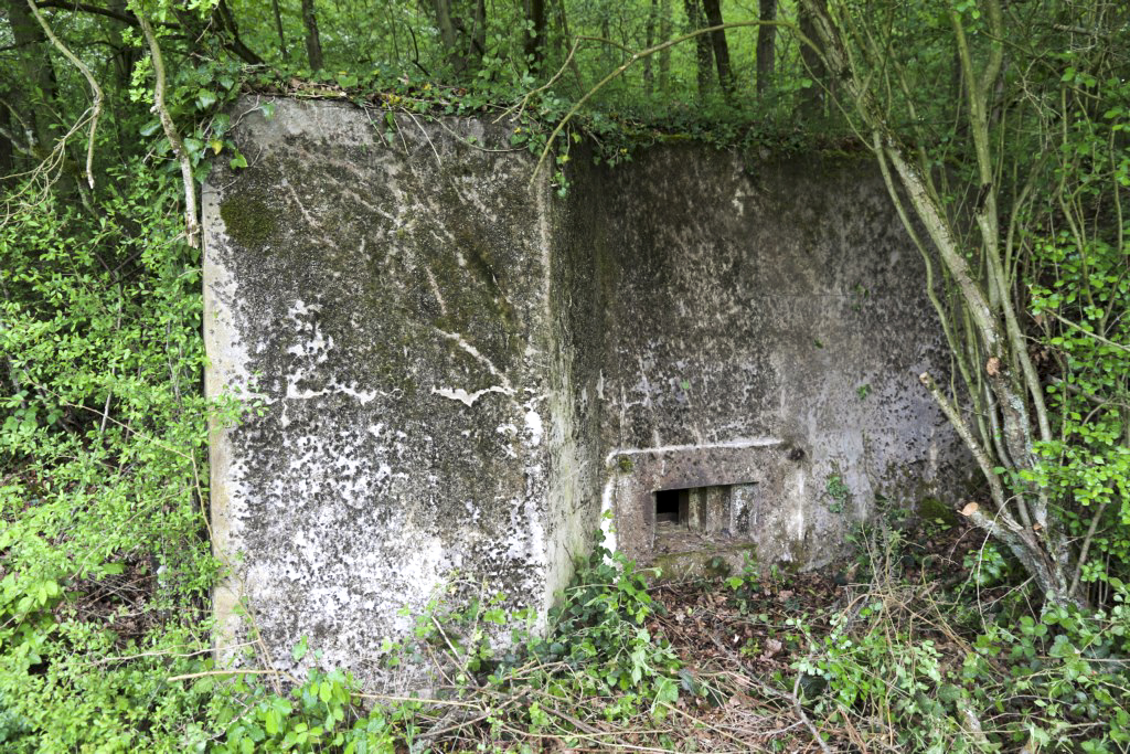 Ligne Maginot - CB430 - KLOSTERBUSCH 1 - (Blockhaus pour arme infanterie) -  - Alain Perouffe
