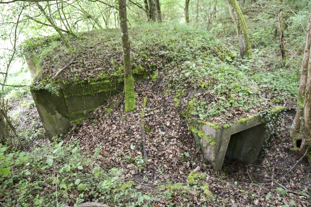 Ligne Maginot - CB430 - KLOSTERBUSCH 1 - (Blockhaus pour arme infanterie) -  - Alain Perouffe