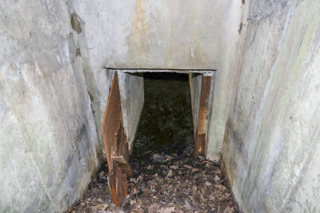 Ligne Maginot - CB430 - KLOSTERBUSCH 1 - (Blockhaus pour arme infanterie) -  - Alain Perouffe