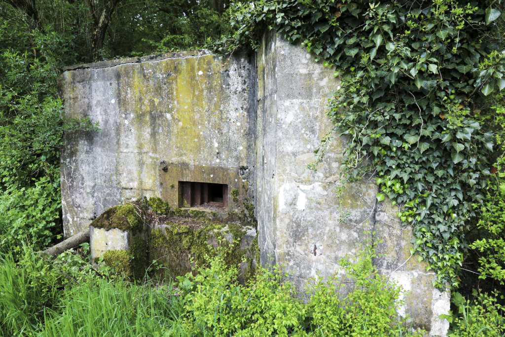Ligne Maginot - CB432 - KLOSTERBUSCH 2 - (Blockhaus pour arme infanterie) -  - Alain Perouffe