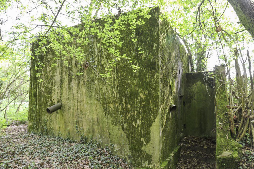 Ligne Maginot - CB432 - KLOSTERBUSCH 2 - (Blockhaus pour arme infanterie) -  - Alain Perouffe
