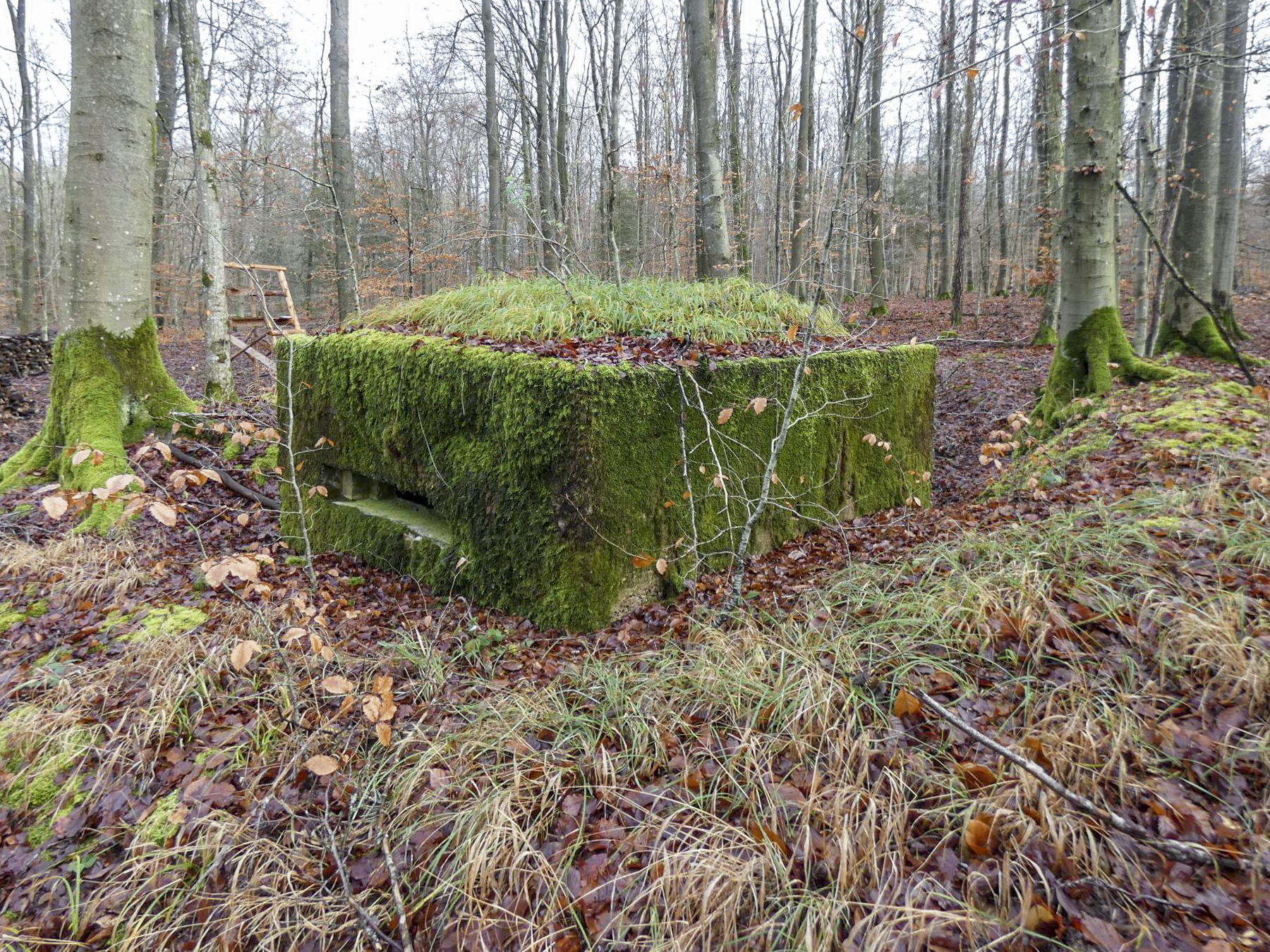 Ligne Maginot - HOLZSCHLAG 4 - (Blockhaus pour arme infanterie) - La façade de tir. - STENGER Mathieu
