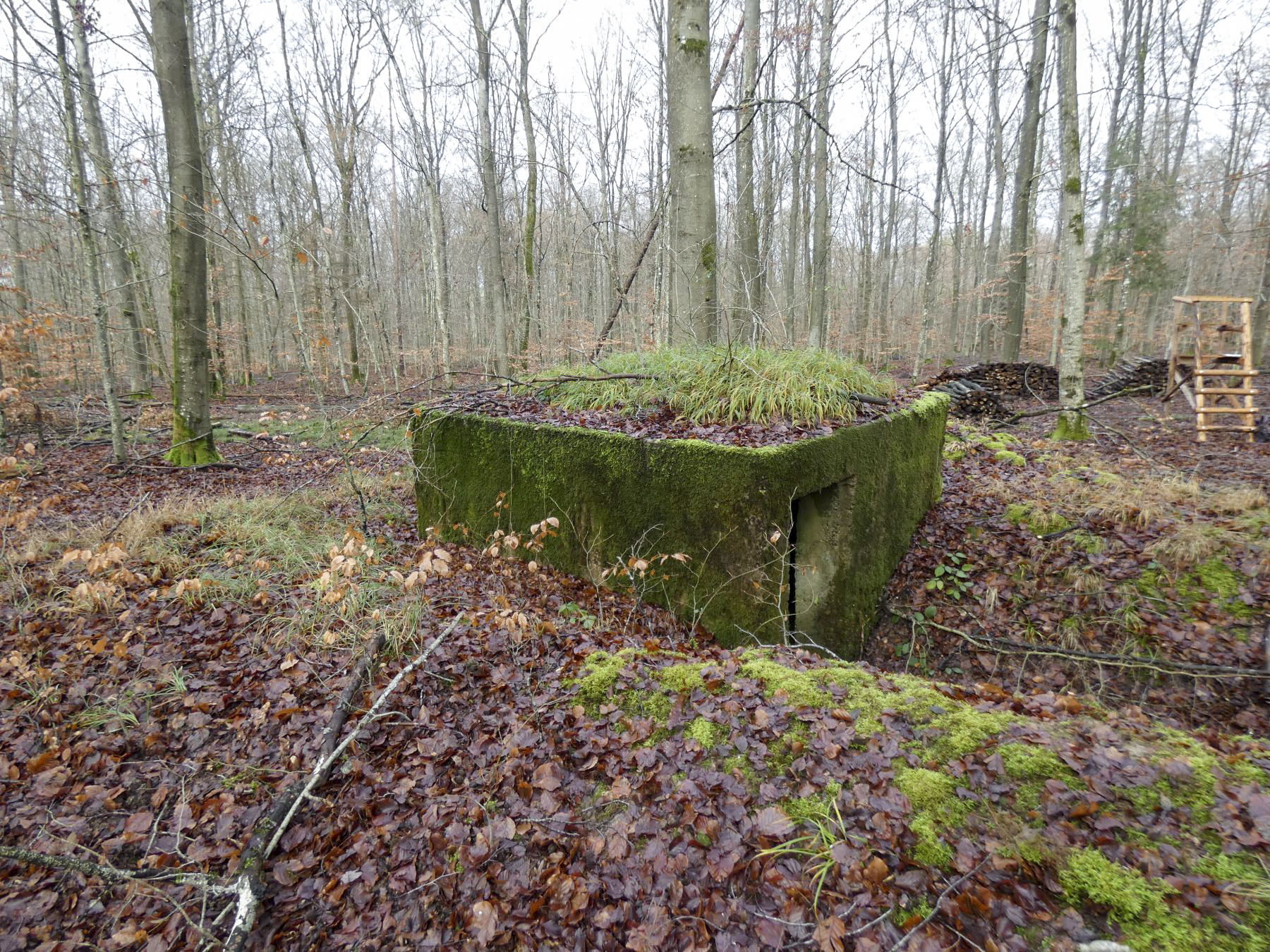 Ligne Maginot - HOLZSCHLAG 4 - (Blockhaus pour arme infanterie) - La vue de l'arrière et l'entrée du blockhaus. - STENGER Mathieu