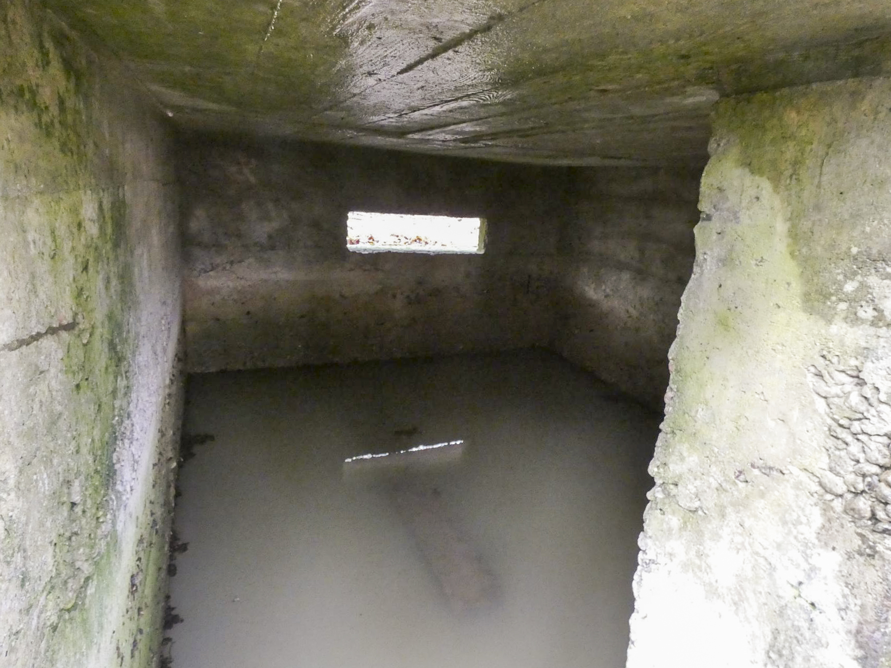 Ligne Maginot - HOLZSCHLAG 4 - (Blockhaus pour arme infanterie) - La chambre de tir est en partie inondée. - STENGER Mathieu