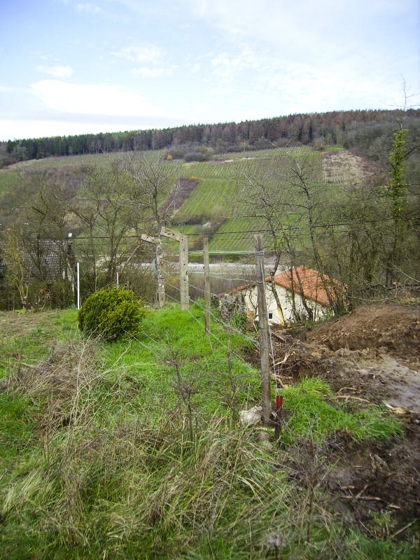 Ligne Maginot - CONTZ LES BAINS 1 (POSTE AVANCé GRM) - (Poste GRM - Maison Forte) - Reste de la clôture militaire - Georges MARESCAUX