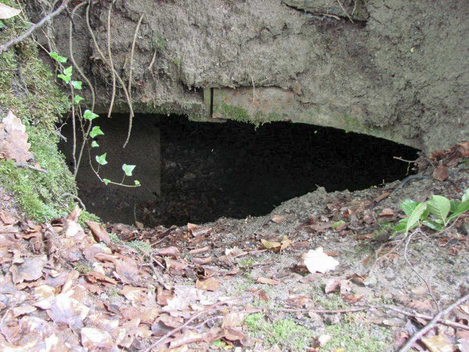 Ligne Maginot - HART - (Abri) - L'autre entrée de l'abri - Schnoupf