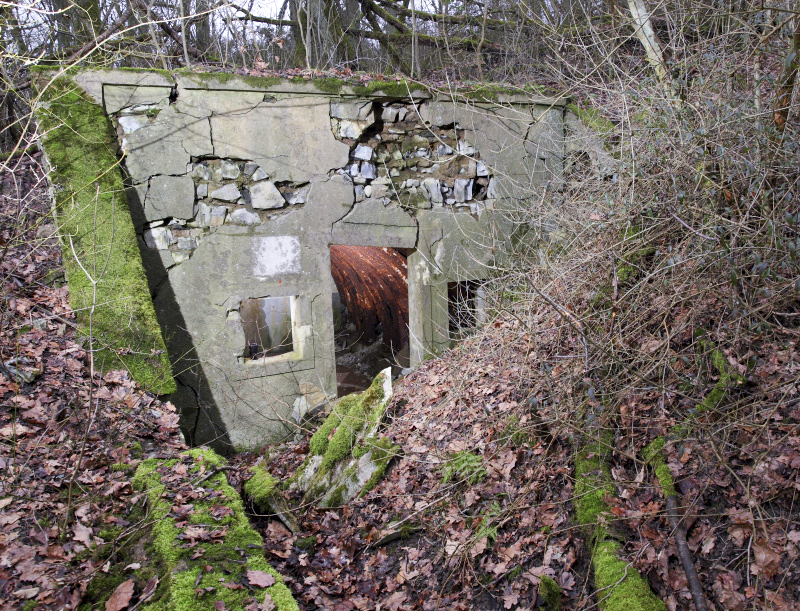 Ligne Maginot - HIRTZWIESE (PC II/167° RIF - QUARTIER SIERCK) - (PC) - Une des alvéoles, en état de vétusté important. - www.arnaultjl-photo.com