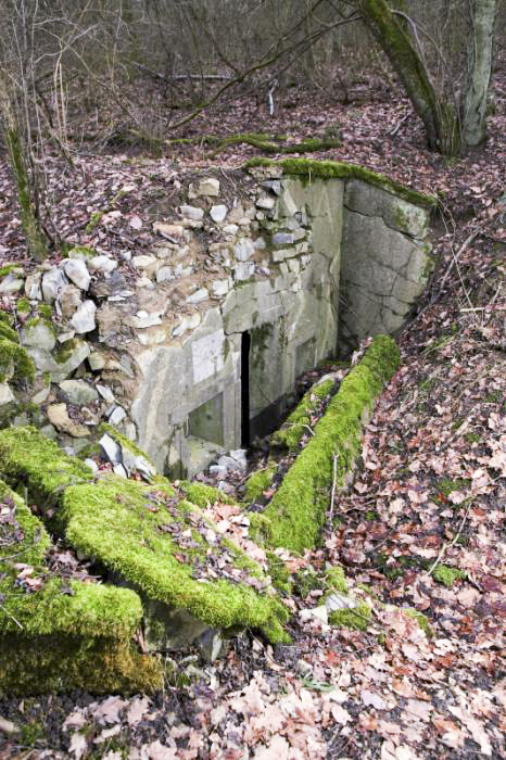 Ligne Maginot - HIRTZWIESE (PC II/167° RIF - QUARTIER SIERCK) - (PC) - L'autre alvéole, dans un état similaire. - www.arnaultjl-photo.com