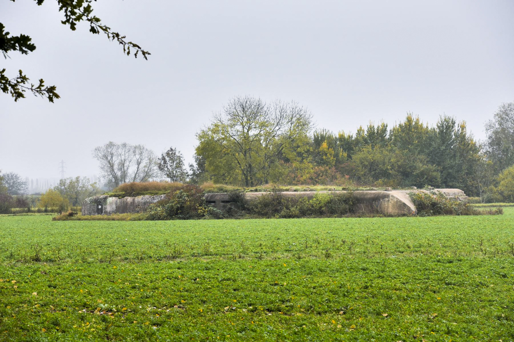 Ligne Maginot - KIESELBACH 1 - (Abri) -  - Ludovic KNAPP