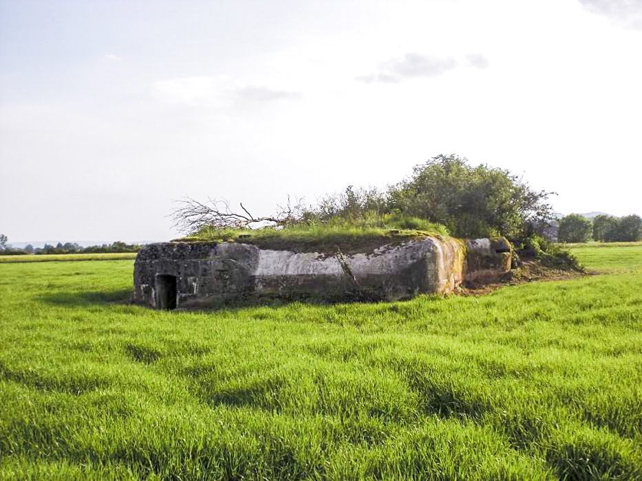 Ligne Maginot - KIESELBACH 1 - (Abri) -  - Frantz