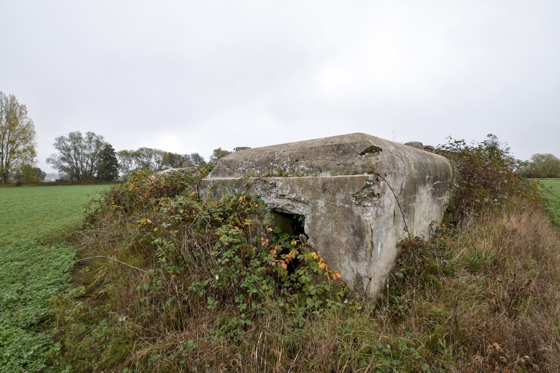 Ligne Maginot - KIESELBACH 1 - (Abri) -  - Ludovic KNAPP