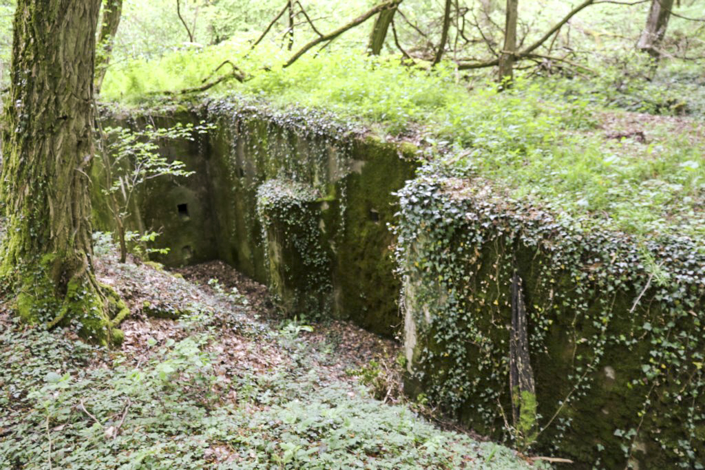 Ligne Maginot - KLOSTERBUSCH 4  Abri -  - Alain Perouffe