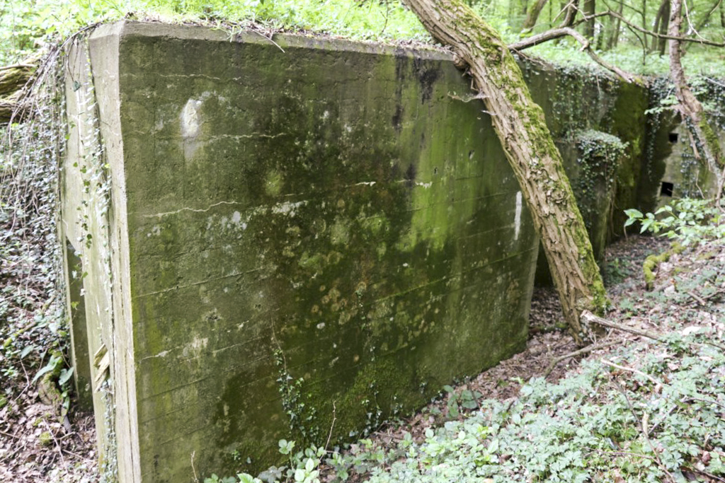 Ligne Maginot - KLOSTERBUSCH 4  Abri - Partie et entrée sud - Alain Perouffe
