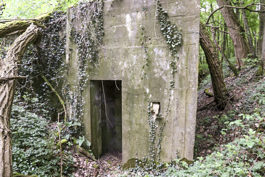 Ligne Maginot - KLOSTERBUSCH 4  Abri - Entrée sud - Alain Perouffe
