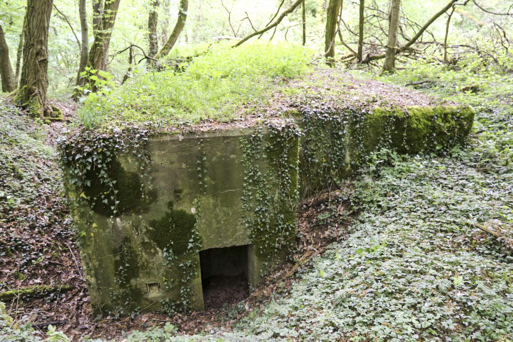 Ligne Maginot - KLOSTERBUSCH 4  Abri - Entrée nord - Alain Perouffe