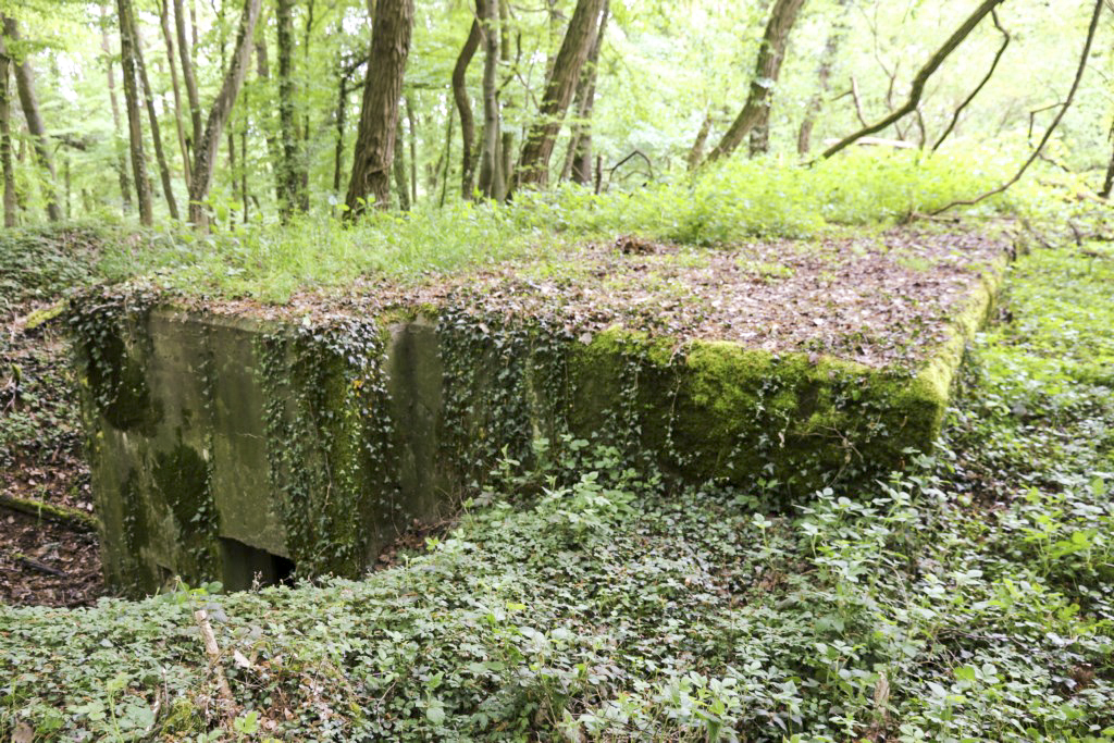 Ligne Maginot - KLOSTERBUSCH 4  Abri - Entrée nord - Alain Perouffe