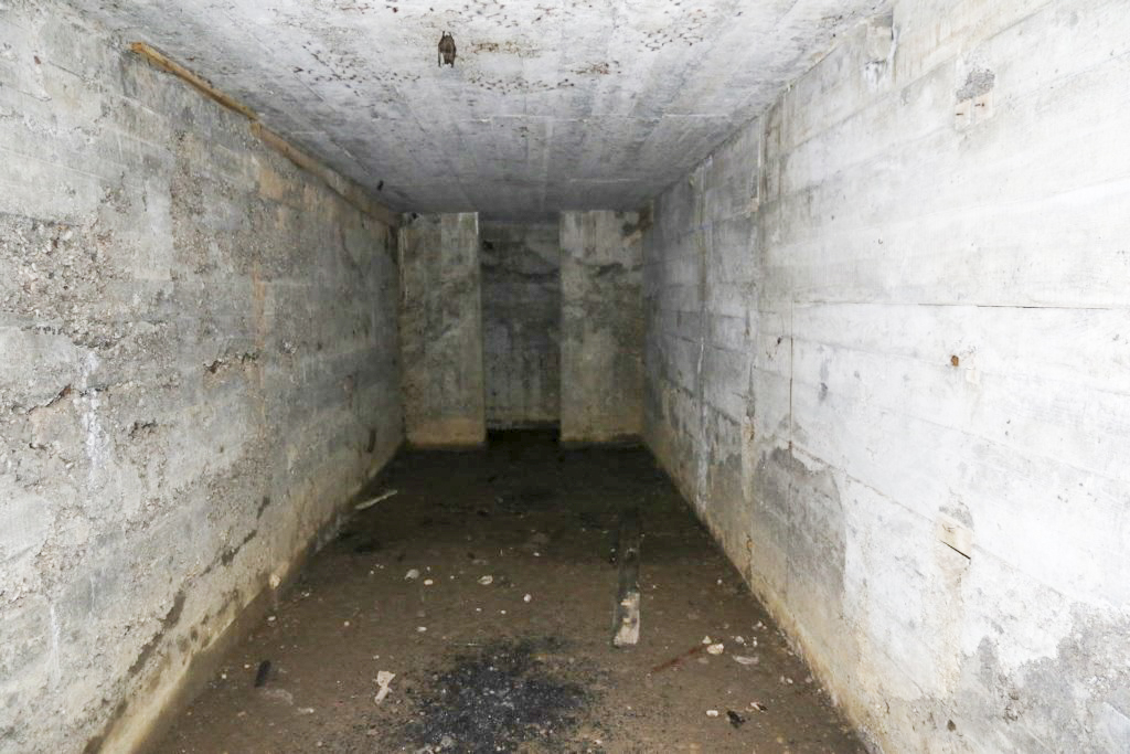 Ligne Maginot - KLOSTERBUSCH 4  Abri - La salle unique - Alain Perouffe