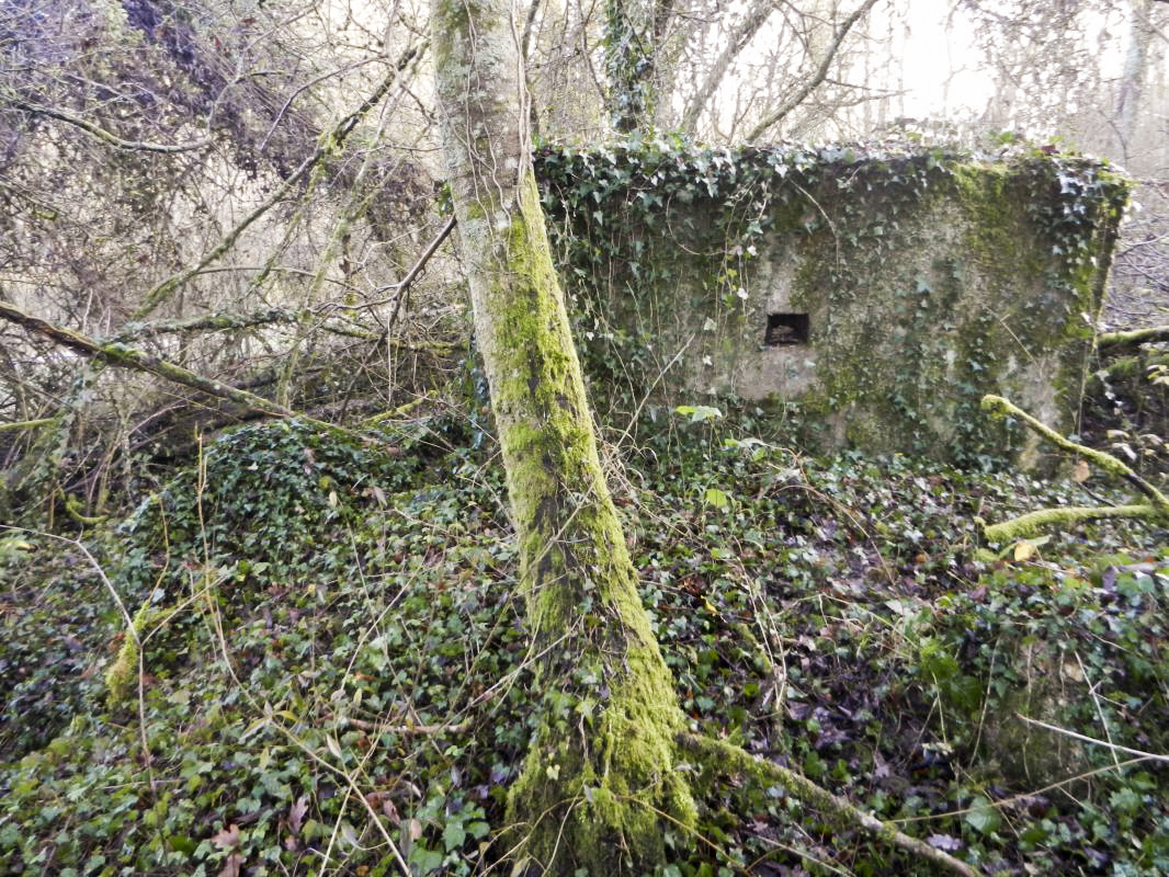 Ligne Maginot - RETTEL Est - (Blockhaus pour arme infanterie) -  - kurth jm 