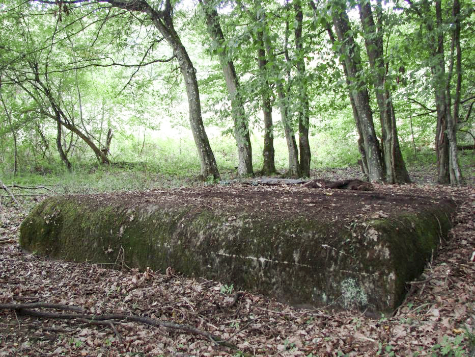 Ligne Maginot - 14M - (Chambre de coupure) -  - Schnoupf