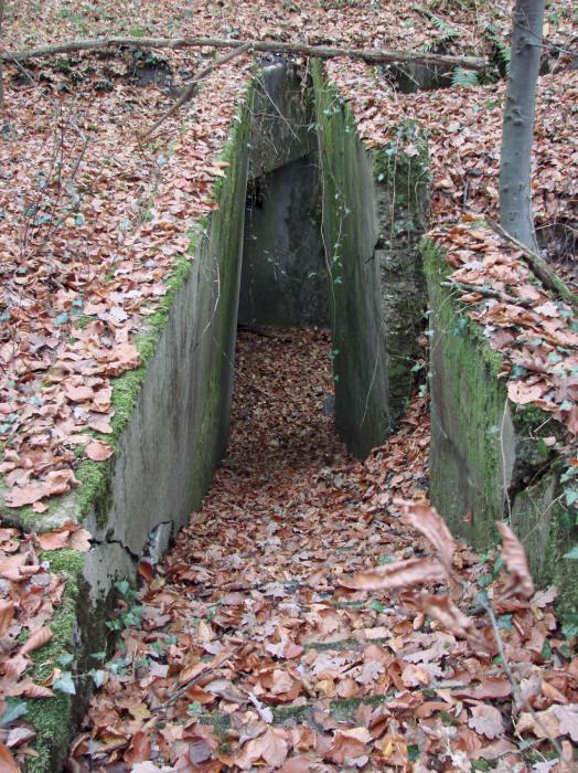 Ligne Maginot - BB10-B - LA HOUVE - (Central téléphonique d'observation) - L'escalier d’accès - Schnoupf