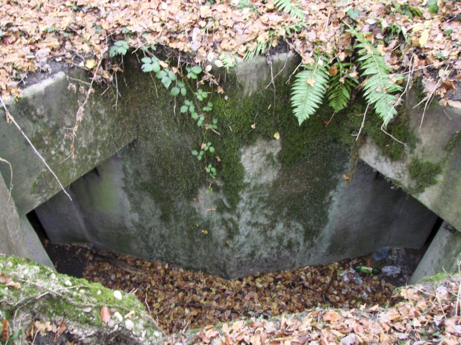 Ligne Maginot - BB10-B - LA HOUVE - (Central téléphonique d'observation) - Les deux entrées - Schnoupf