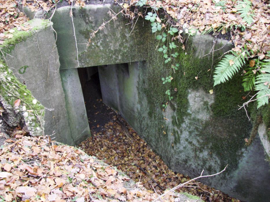 Ligne Maginot - BB10-B - LA HOUVE - (Central téléphonique d'observation) - L'entrée de gauche - Schnoupf