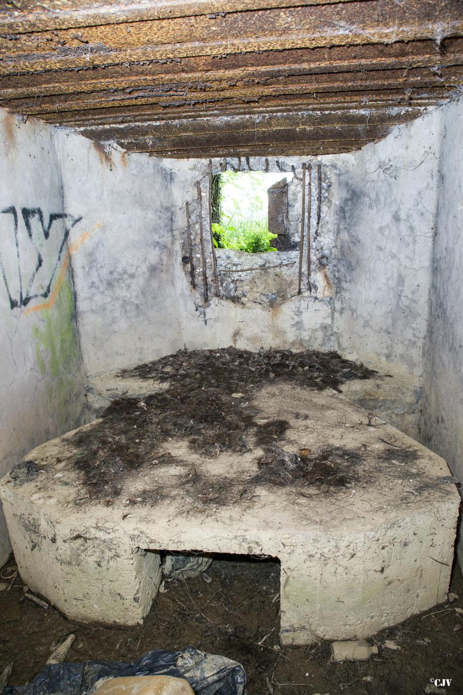 Ligne Maginot - BB301 - KURZEN - (Blockhaus pour arme infanterie) -  - Lia VERMEULEN