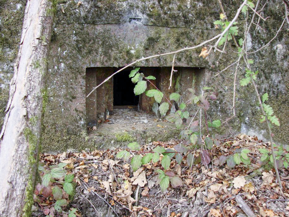 Ligne Maginot - BB309 - WELSCHENBERG - (Blockhaus pour arme infanterie) - Créneau pour mitrailleuse - Schnoupf