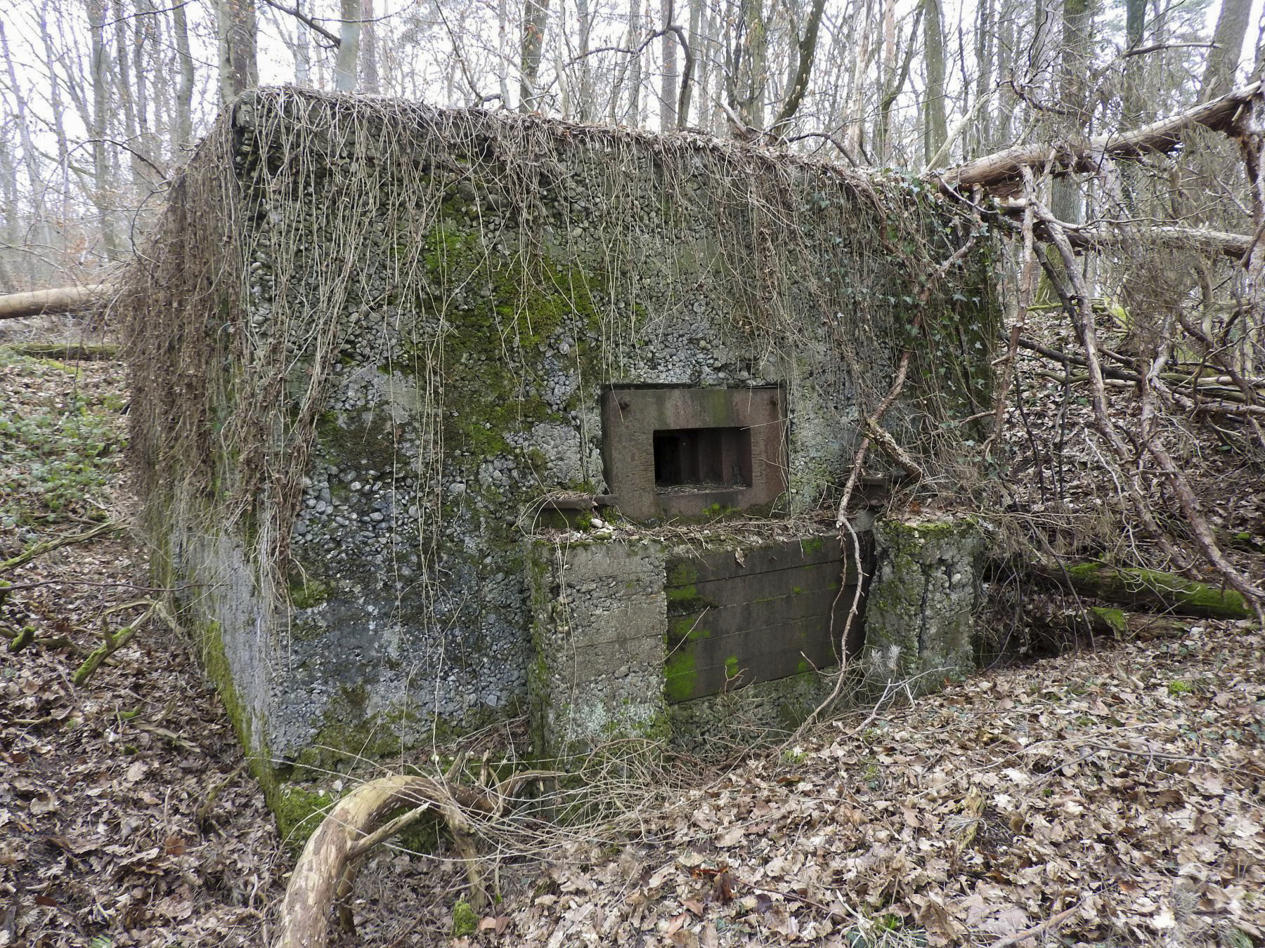 Ligne Maginot - BB310 - (Blockhaus pour arme infanterie) - La façade de tir. - STENGER Mathieu