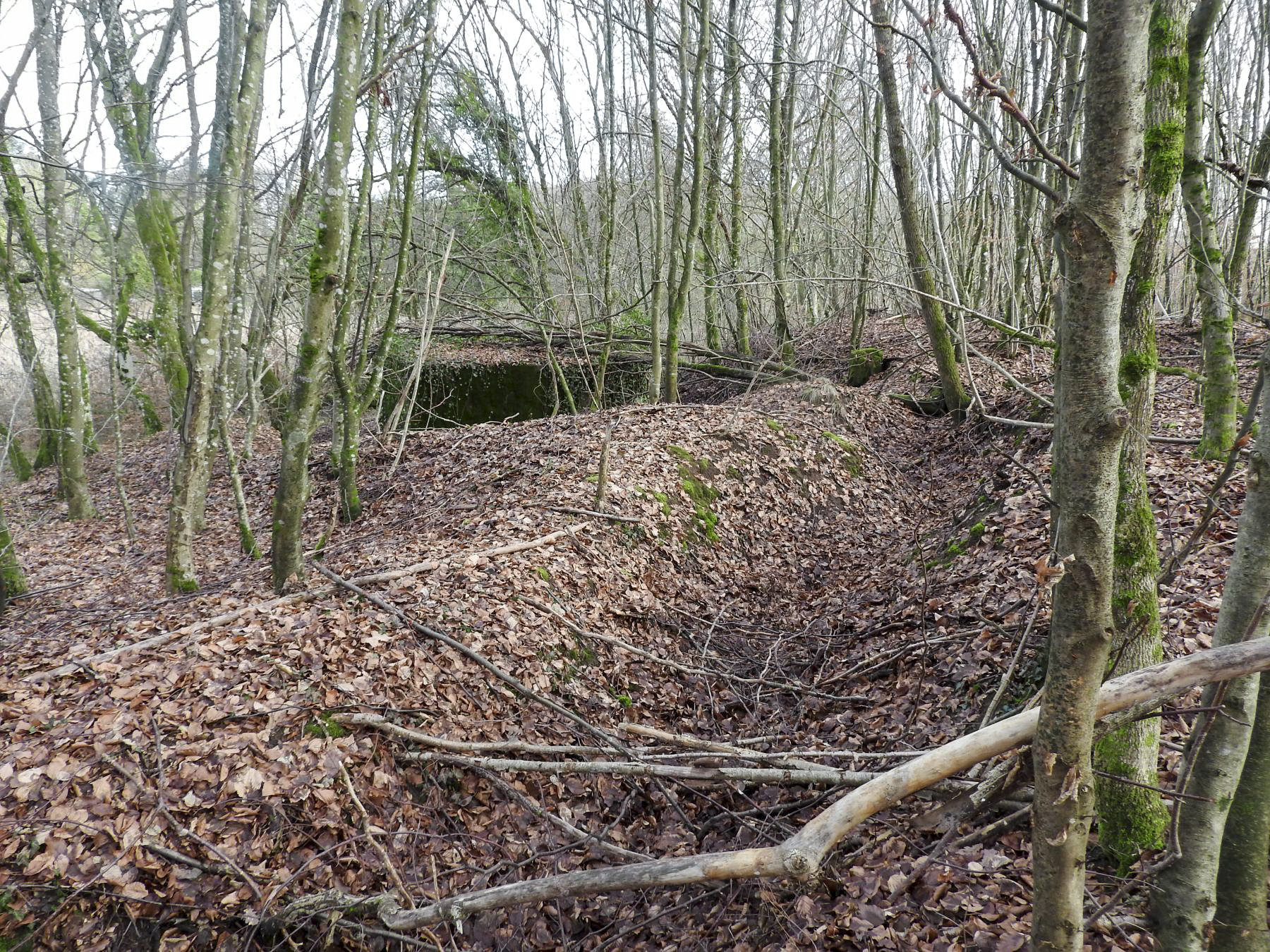 Ligne Maginot - BB312 - (Blockhaus pour arme infanterie) - Le blockhaus avec sa tranchée d'accès. - STENGER Mathieu