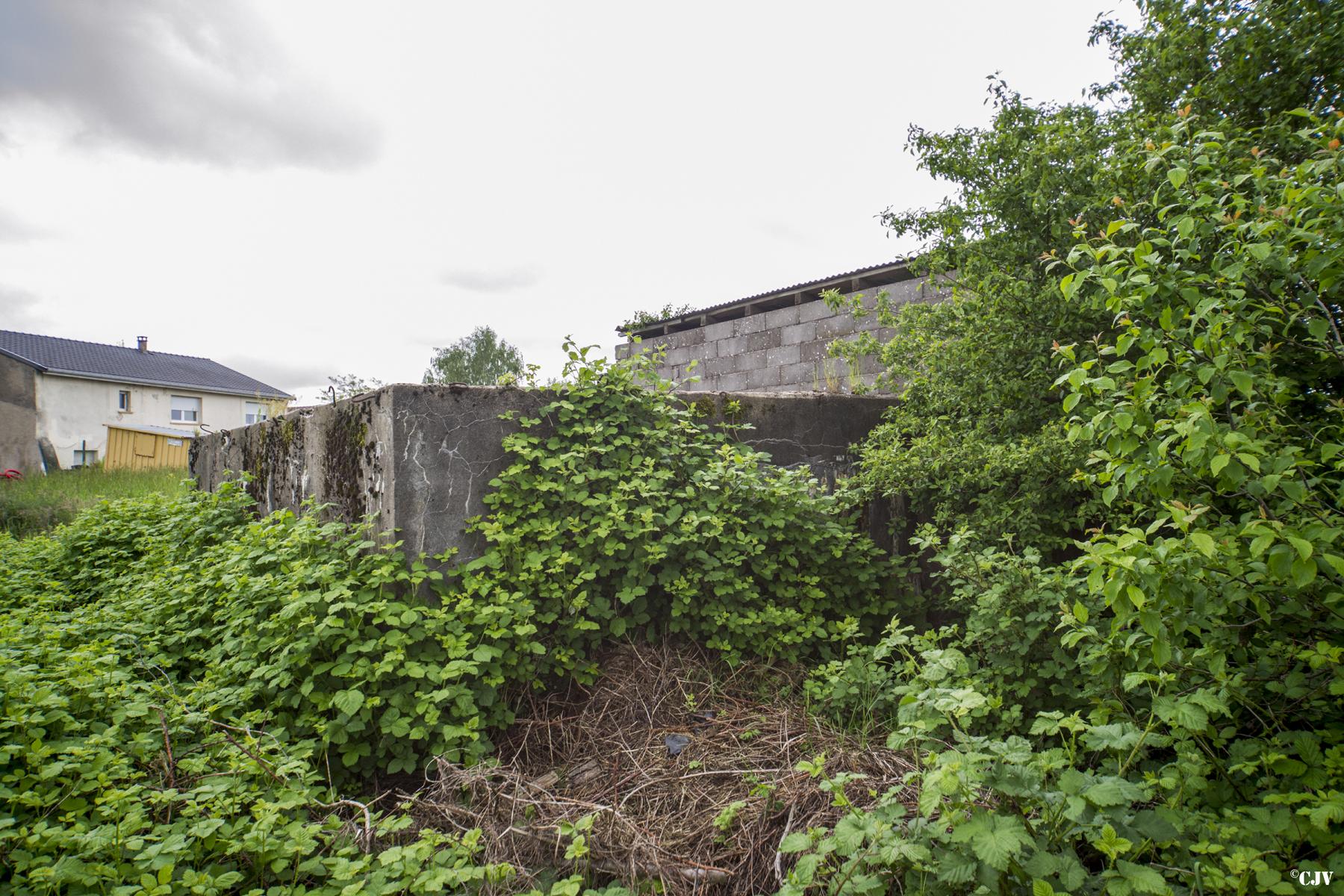 Ligne Maginot - BB345 - EBERSVILLER NORD - (Blockhaus pour canon) -  - Lia VERMEULEN