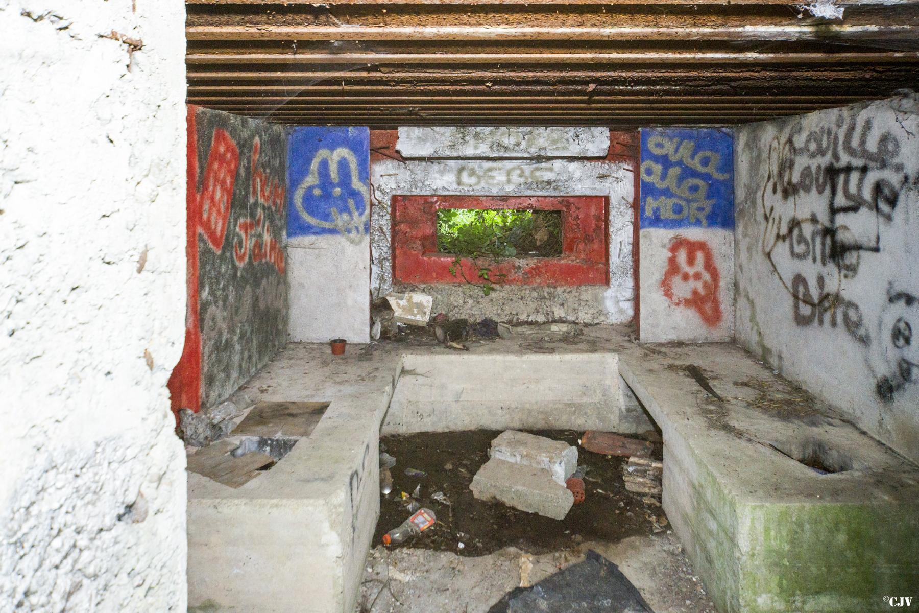 Ligne Maginot - BB345 - EBERSVILLER NORD - (Blockhaus pour canon) -  - Lia VERMEULEN