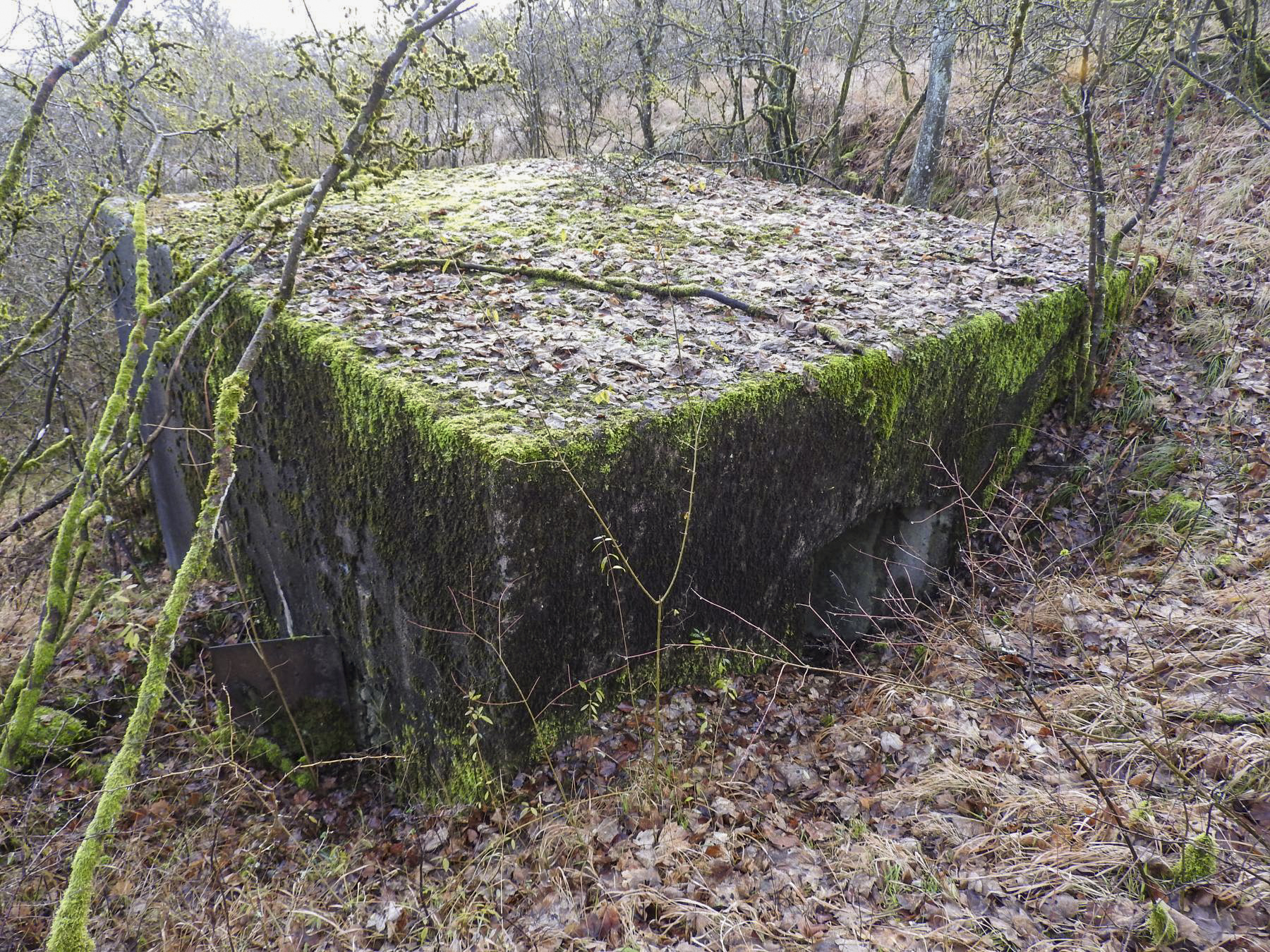 Ligne Maginot - BB376 - (Blockhaus pour canon) - La façade arrière du blockhaus. - STENGER Mathieu