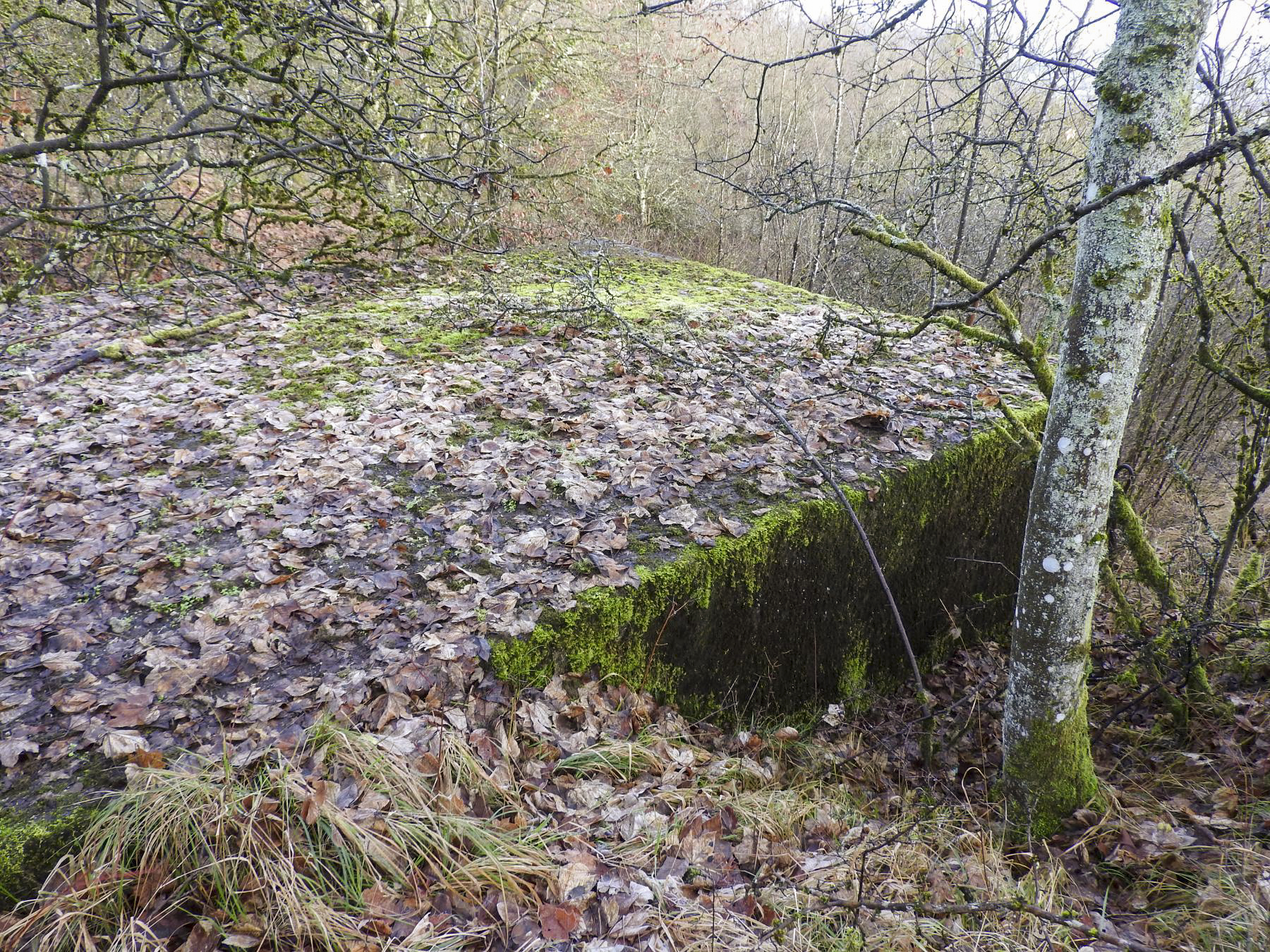 Ligne Maginot - BB376 - (Blockhaus pour canon) - Le dessus du blockhaus. - STENGER Mathieu
