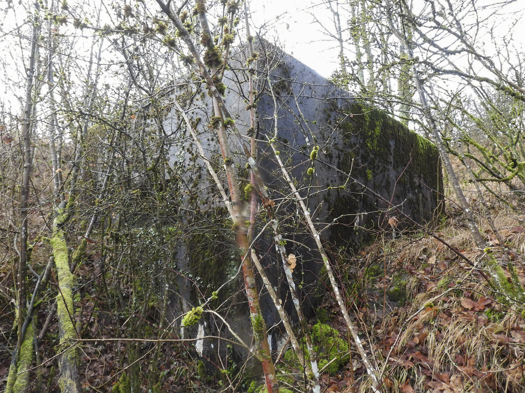 Ligne Maginot - BB376 - (Blockhaus pour canon) - La façade de tir. - STENGER Mathieu