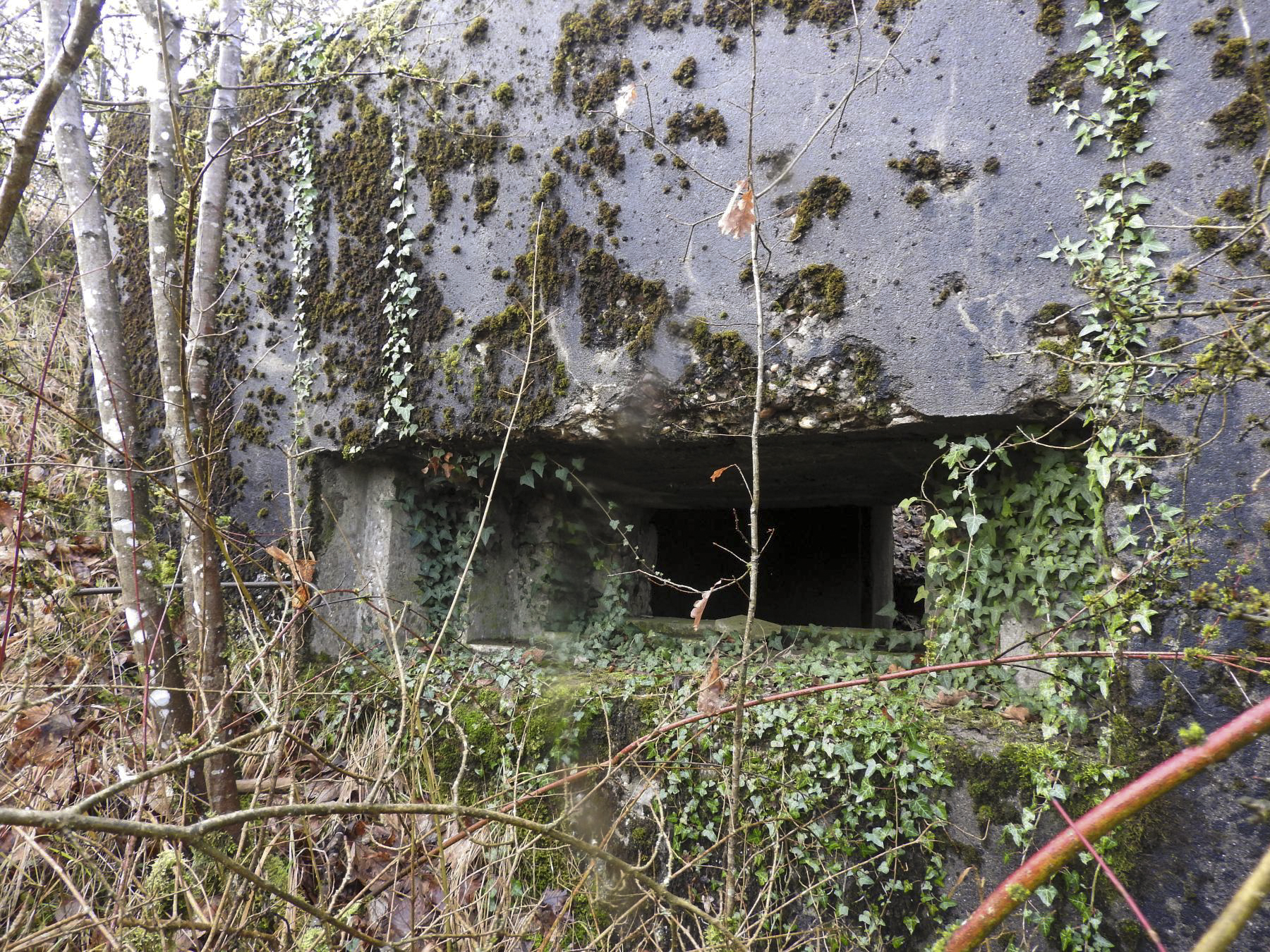 Ligne Maginot - BB376 - (Blockhaus pour canon) - Le créneau pour canon anti-char. La trémie n'est pas installée. - STENGER Mathieu
