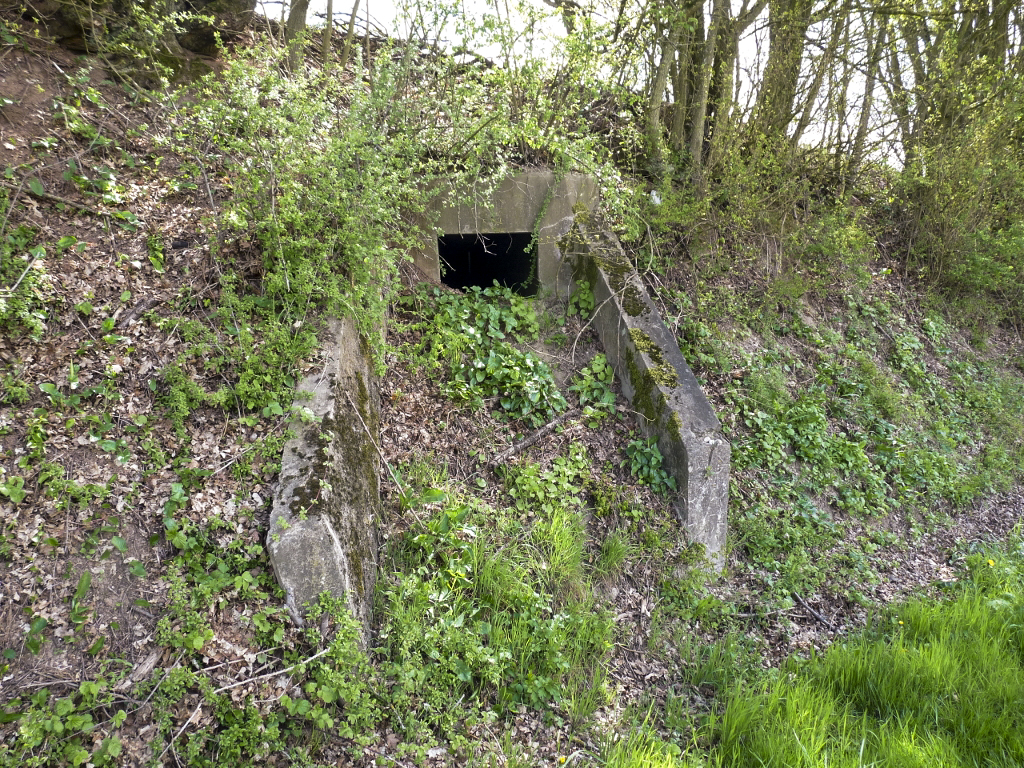 Ligne Maginot - HOMBOURG-BUDANGE - (Central téléphonique isolé) - L'entrée du central - Sylvie-Laure LAMBERT