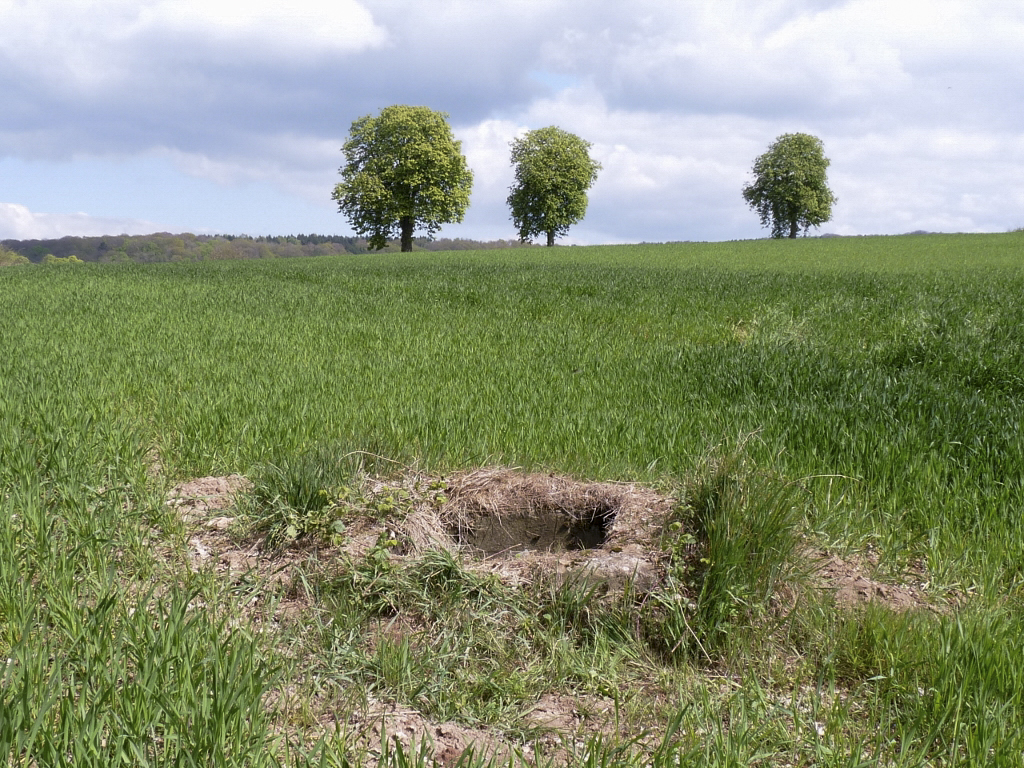 Ligne Maginot - HOMBOURG-BUDANGE - (Central téléphonique isolé) - Le débouché du puits d'issue de secours  - Sylvie-Laure LAMBERT