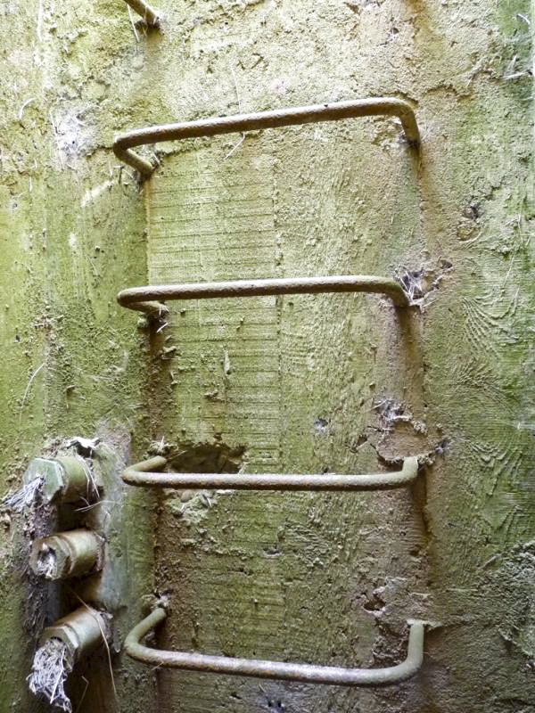 Ligne Maginot - HOMBOURG-BUDANGE - (Central téléphonique isolé) - Entrées de câbles au niveau du puit de l'issue de secours - Sylvie-Laure LAMBERT